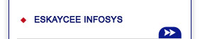 ESKAYCEE INFOSYS